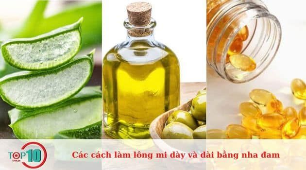 Phương pháp làm dài lông mi bằng nha đam, dầu dừa/dầu ô liu và vitamin E