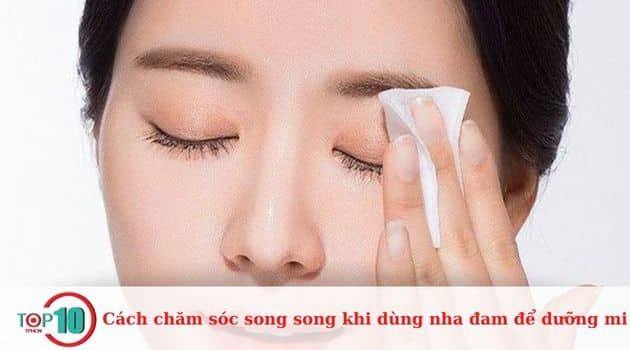 Hướng dẫn chăm sóc lông mi hiệu quả khi sử dụng nha đam