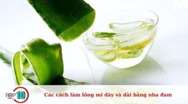 Phương pháp làm dài lông mi bằng nha đam nguyên chất