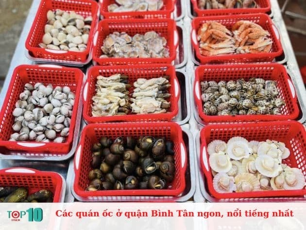 Các quán ốc nổi tiếng và ngon nhất ở quận Bình Tân