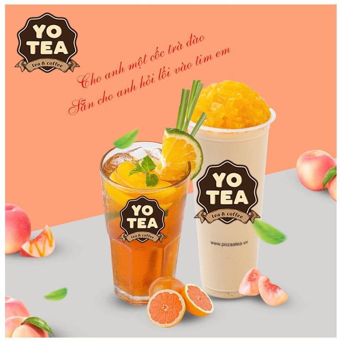 Yotea Hải Phòng - Hình ảnh 1