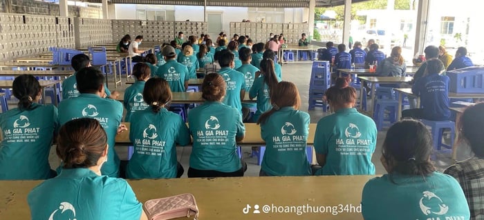 Ảnh Công Ty TNHH Cung Cấp Nhân Lực Hà Gia Phát 2