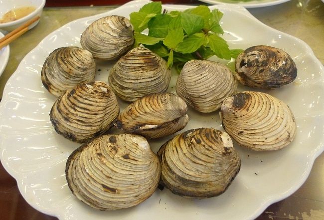 Ngán Hạ Long là một trong những đặc sản hàng đầu của Hạ Long – Quảng Ninh, được du khách khắp nơi yêu thích