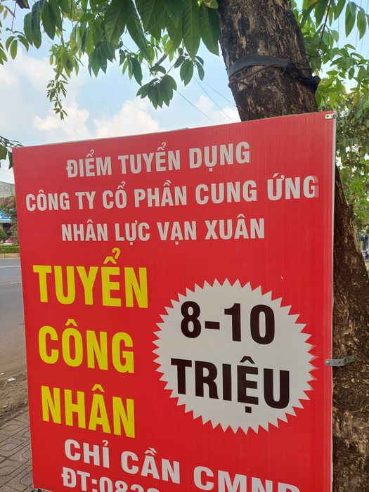 Ảnh Công Ty TNHH Cung Cấp và Phát Triển Nhân Lực Vạn Xuân 1