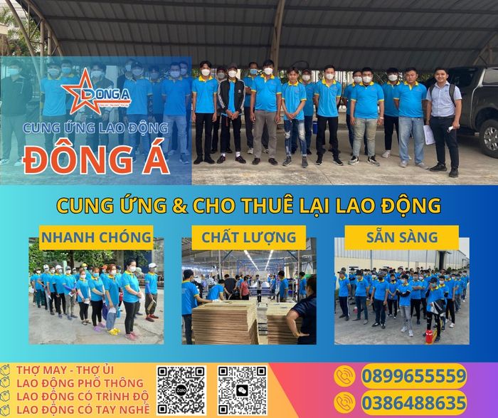 Ảnh Công Ty Cung Cấp Lao Động Đông Á 1