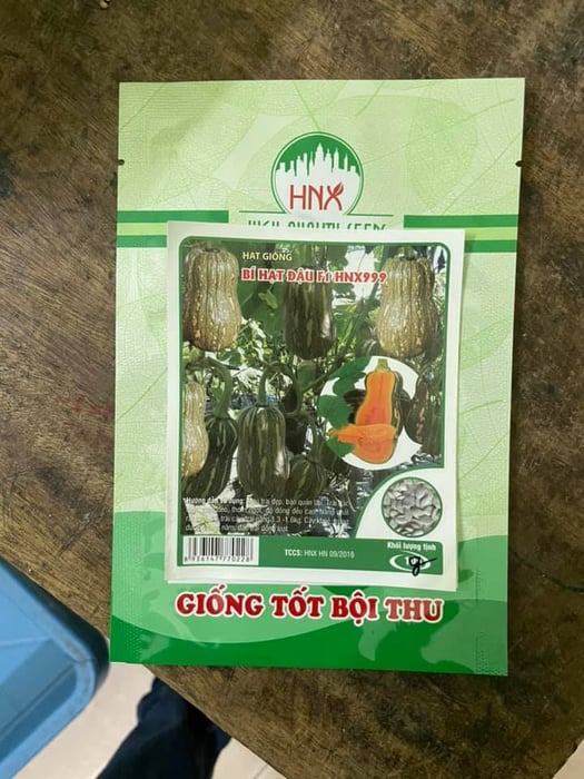 Hình ảnh Công Ty Hà Nội Xanh 2