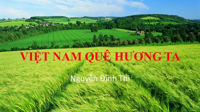 Hình ảnh minh họa (Nguồn: Internet) - ảnh 1