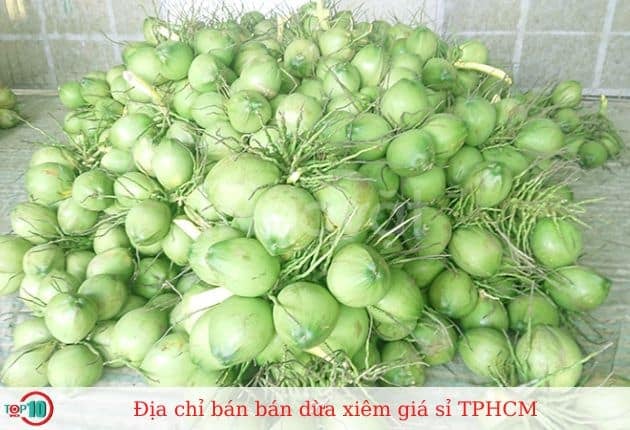 Vựa Dừa Xiêm với Giá Sỉ