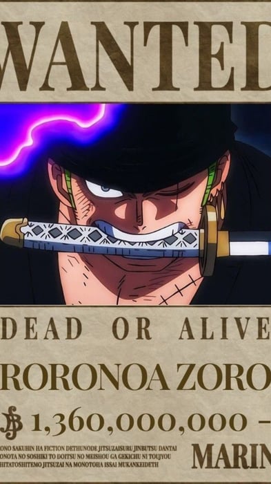 Ảnh Truy Nã Zoro Ấn Tượng