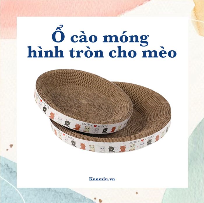 Hình ảnh Kún Miu Pet Shop 1