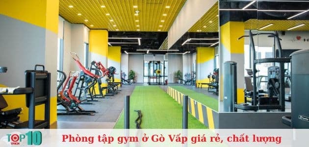 Các trung tâm gym nổi bật tại quận Gò Vấp