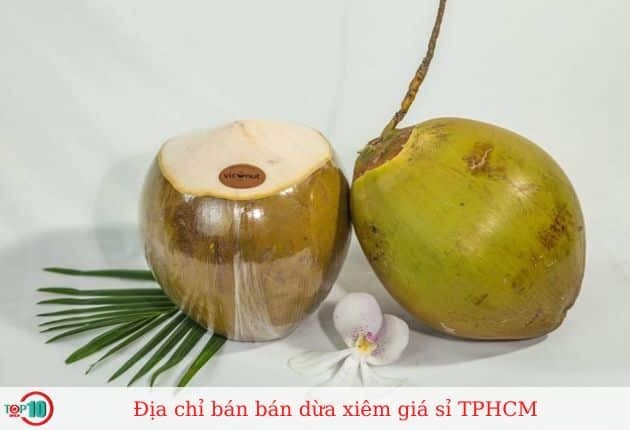 Dừa xiêm giá sỉ tại TPHCM