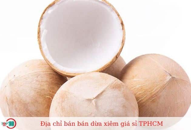 Tổng Đại lý Công ty cung cấp Dừa Xiêm TT