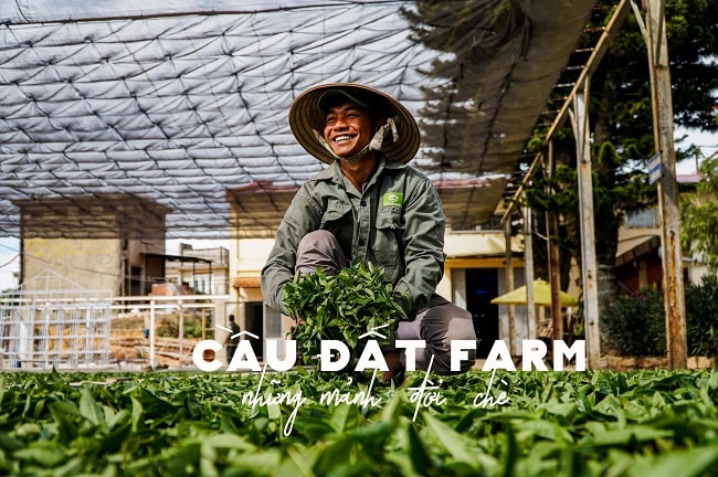 Cầu Đất Farm