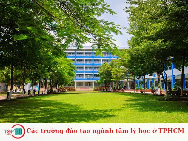 Danh sách các trường đào tạo ngành tâm lý học tại TP.HCM