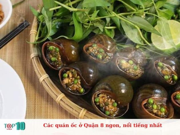 Những quán ốc ngon và nổi tiếng nhất ở Quận 8