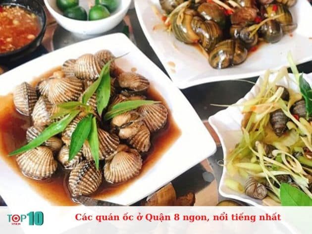 Những quán ốc nổi tiếng và ngon nhất ở Quận 8