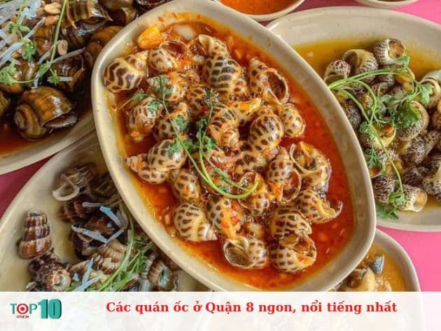 Những quán ốc nổi tiếng và ngon nhất ở Quận 8