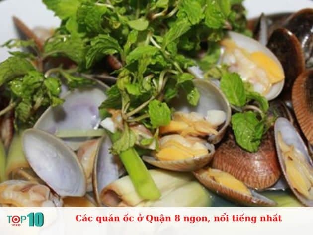 Những quán ốc nổi tiếng và ngon nhất ở Quận 8