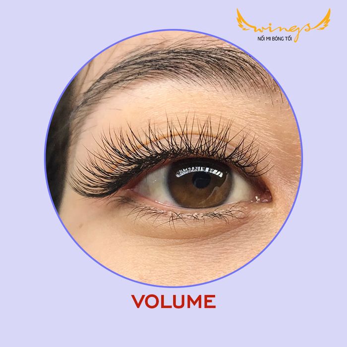 Wings Lashes hình ảnh 2