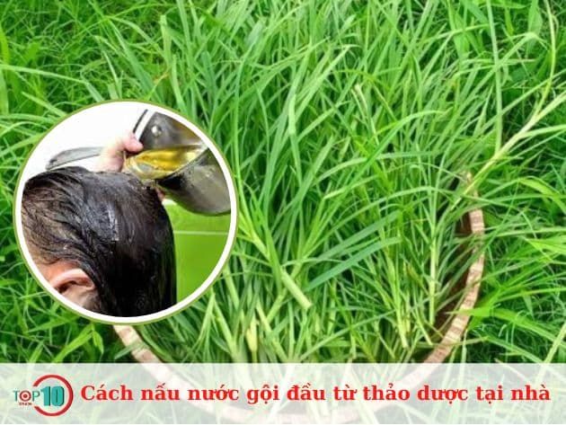 Hướng dẫn nấu nước gội đầu từ thảo dược tại nhà