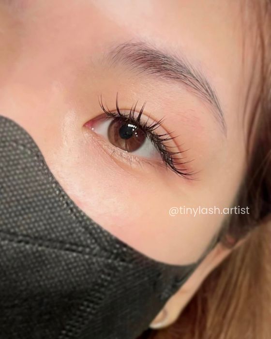 Hình ảnh 1 của Tiny Lash Academy