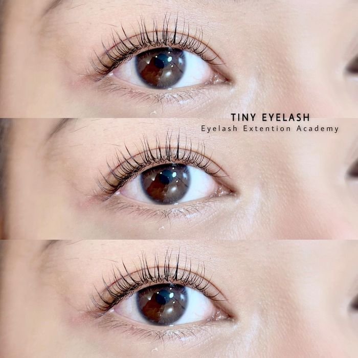 Hình ảnh 2 của Tiny Lash Academy
