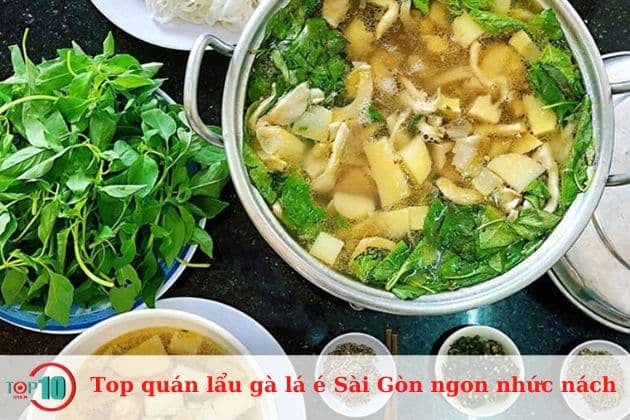 Lẩu gà lá é 205