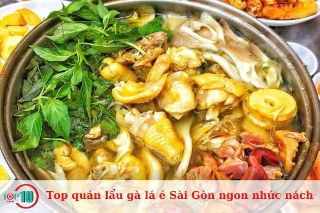 Lẩu gà lá é Ớt Xanh Quán