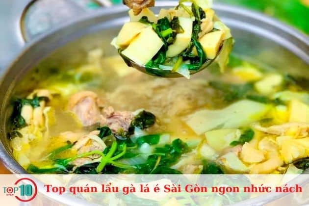 Lẩu gà lá é Anh Bảy