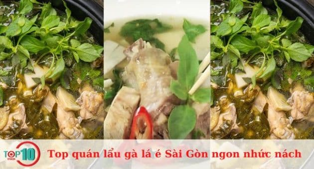 Những quán lẩu gà lá é ngon nhất Sài Gòn