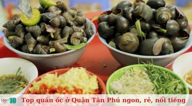 Quán ốc Hugo Tân Phú – Điểm đến lý tưởng cho món ốc