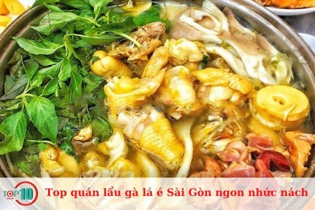 Lẩu gà lá é Hoàng Ký