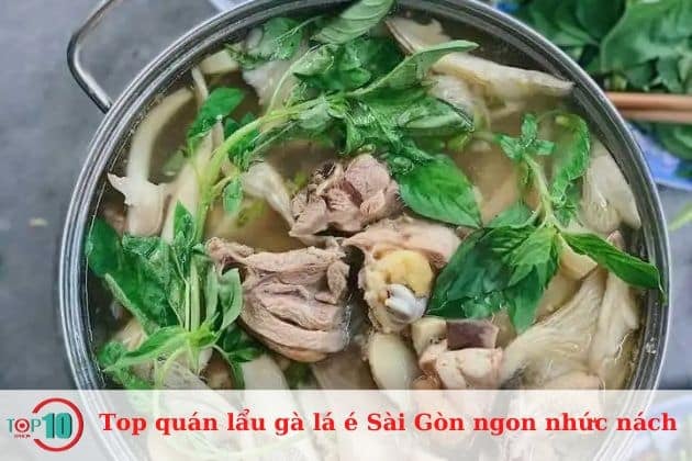 Lẩu gà lá é Mắt Cá Ngừ