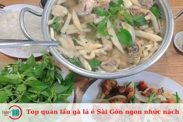 Lẩu gà lá é 236