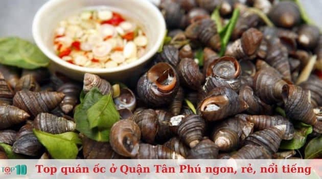 Quán ốc Bà Tư – Điểm đến tuyệt vời cho món ốc