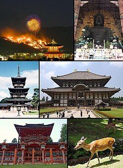 Từ góc trên bên trái: Lửa núi Wakakusayama, Đại Phật Todaiji, Yakushi-ji, Todai-ji, Đền Kasuga và một chú hươu tại Công viên Nara