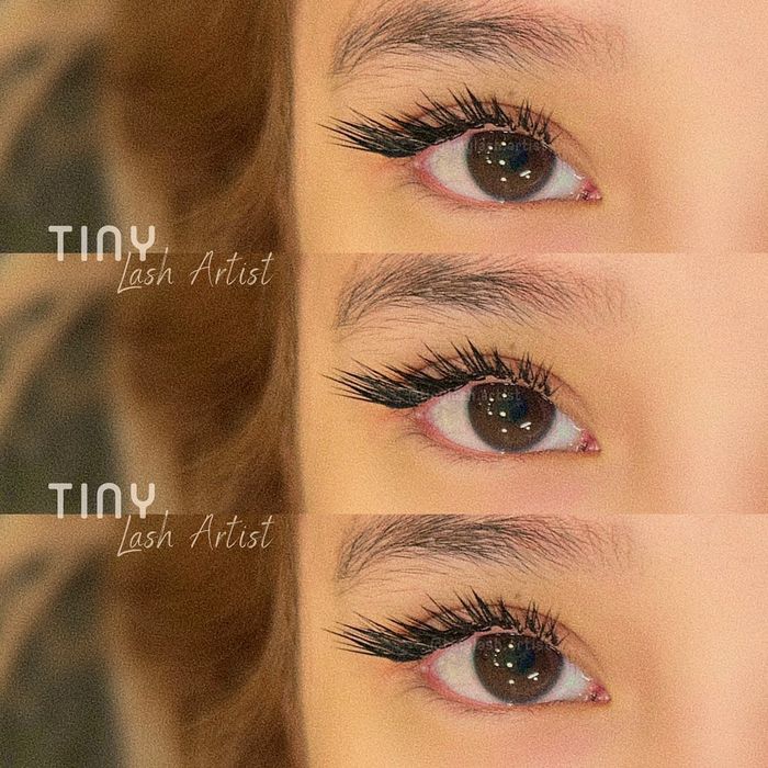 Hình ảnh Tiny Lash Academy 1