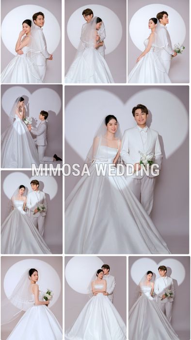 Studio Cưới Mimosa - Hình ảnh 1