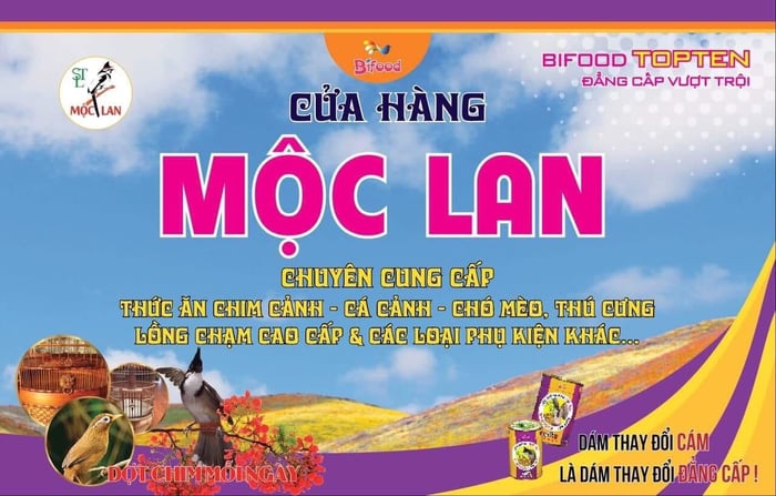 Chim Cảnh Mộc Lan - Hình ảnh 1