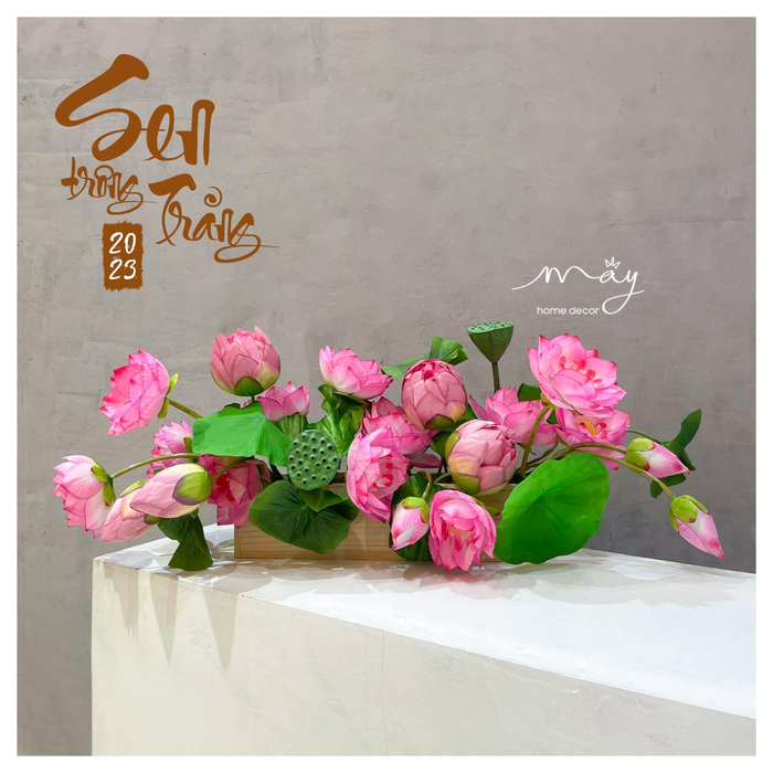 Hình ảnh của Trang trí nội thất Mây - Ảnh 2