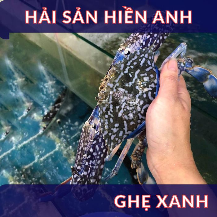 Hải sản Hiền Anh hình ảnh 2