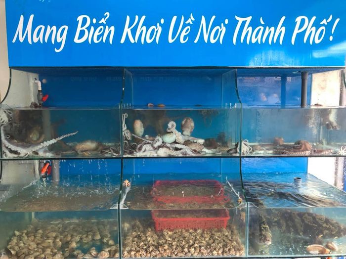 Hình ảnh Chợ Hải Sản Quảng Ninh 1