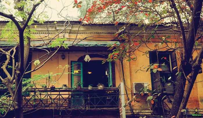 Hình ảnh khu phố cổ Hà Nội 3