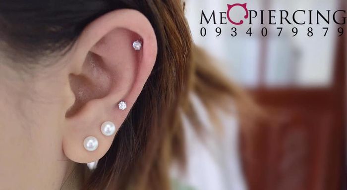 Hình ảnh Mèo Piercing - Xỏ khuyên cơ thể 1