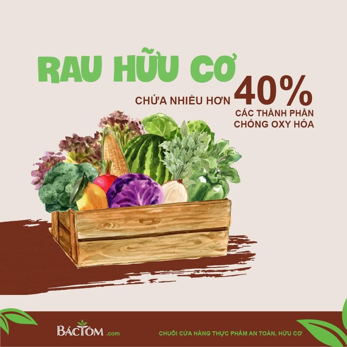 Hình ảnh rau từ Bác Tôm, ảnh 3