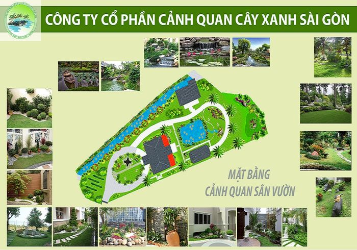 Công ty CP Cây Xanh Sài Gòn - Hình ảnh 2