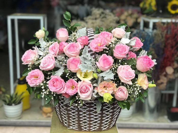 Ảnh của NOMI Flower 1