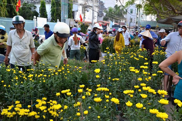 Hình ảnh chợ hoa Long Xuyên 1