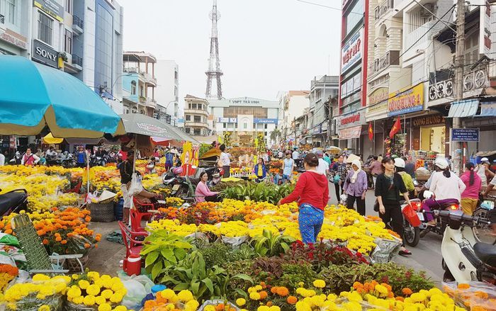 Hình ảnh chợ hoa Trà Vinh 1